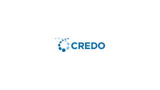 Credo Technology Group Holding Beats 