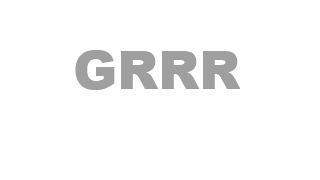 Gorilla Technology Raises Guidance