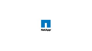 Netapp Misses 