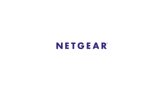 Netgear Beats  but Guides Lower