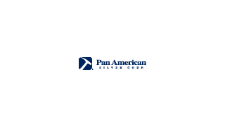 Pan Amer Silver Misses 