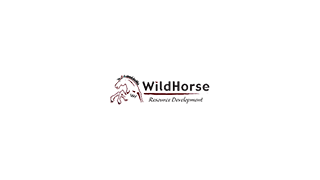 Weride Inc ADR reports 