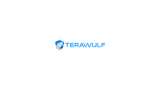 Terawulf Misses 
